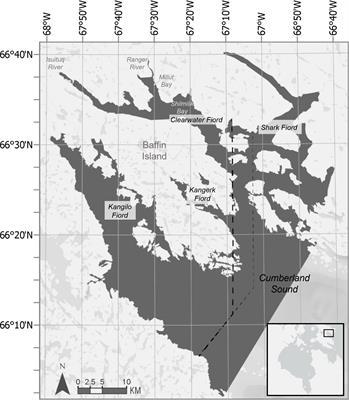 Use of satellite imagery to estimate distribution and abundance of Cumberland Sound beluga whales reveals frequent use of a glacial river estuary